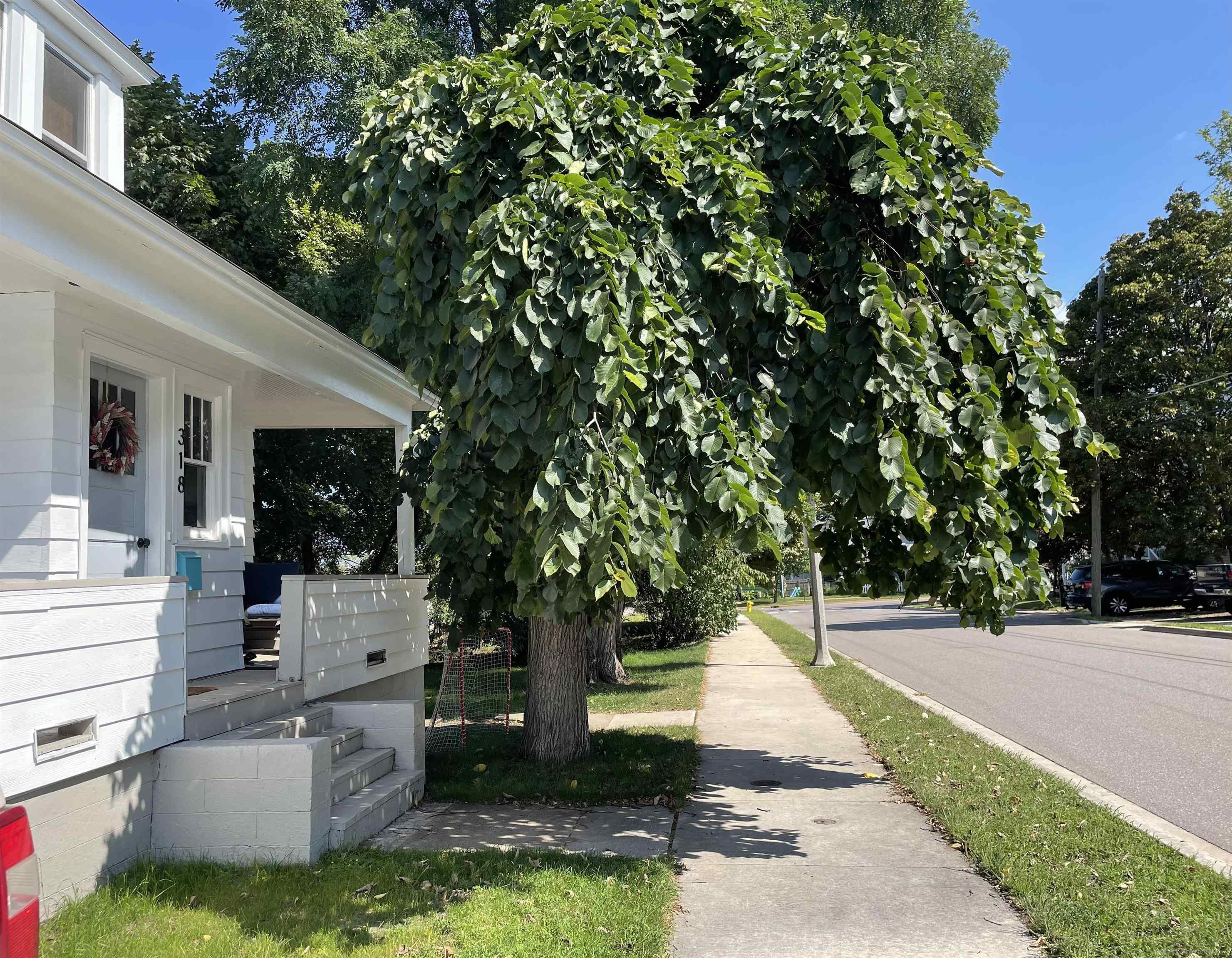 318 W Park Street, Marquette, MI 49855 — Photo 3