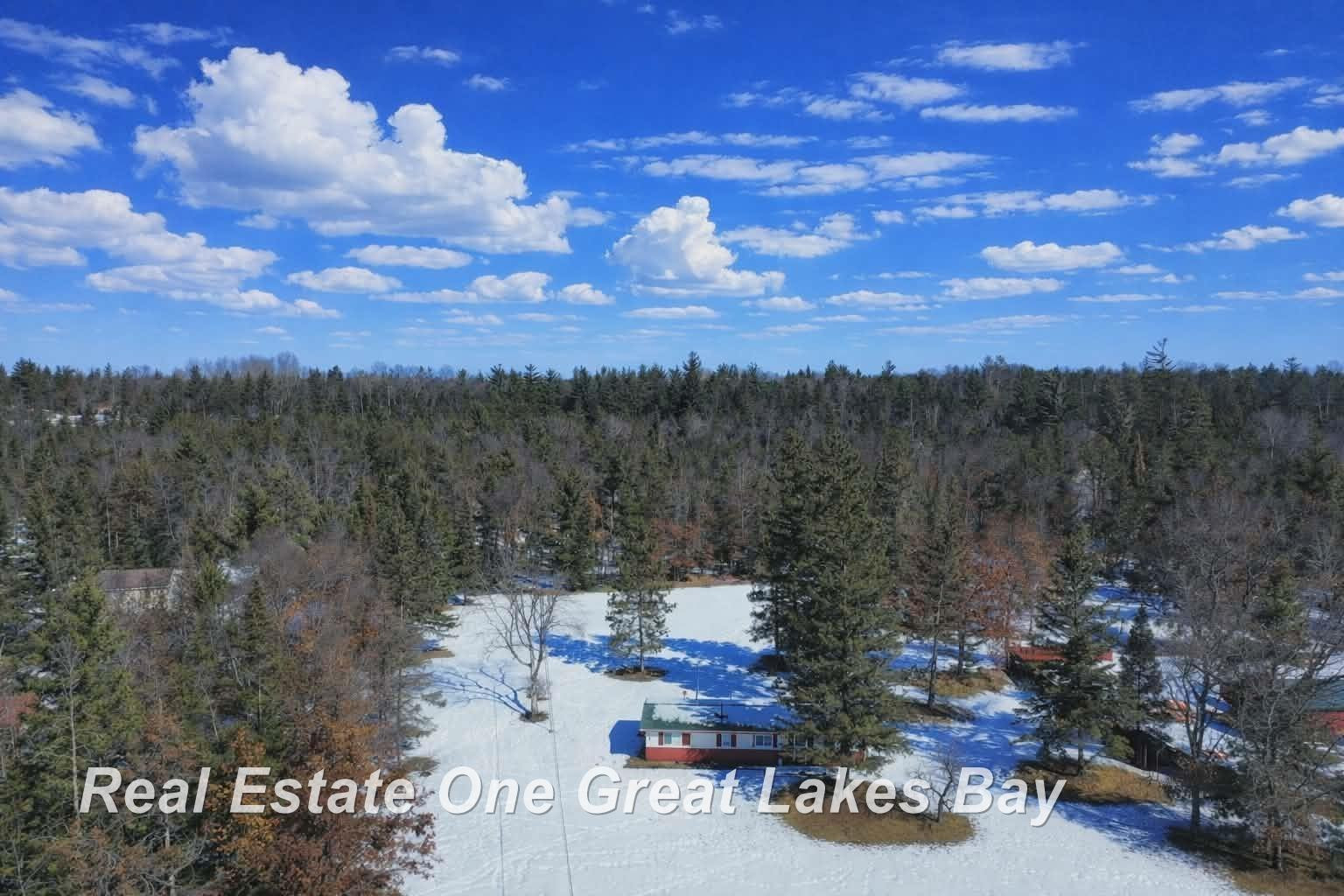 3625 McKinley Road, Mio, MI 48647 — Photo 3