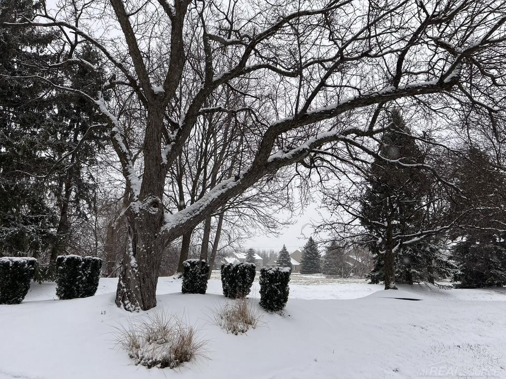 44666 Connecticut Court, Clinton Twp, MI 48038 — Photo 58
