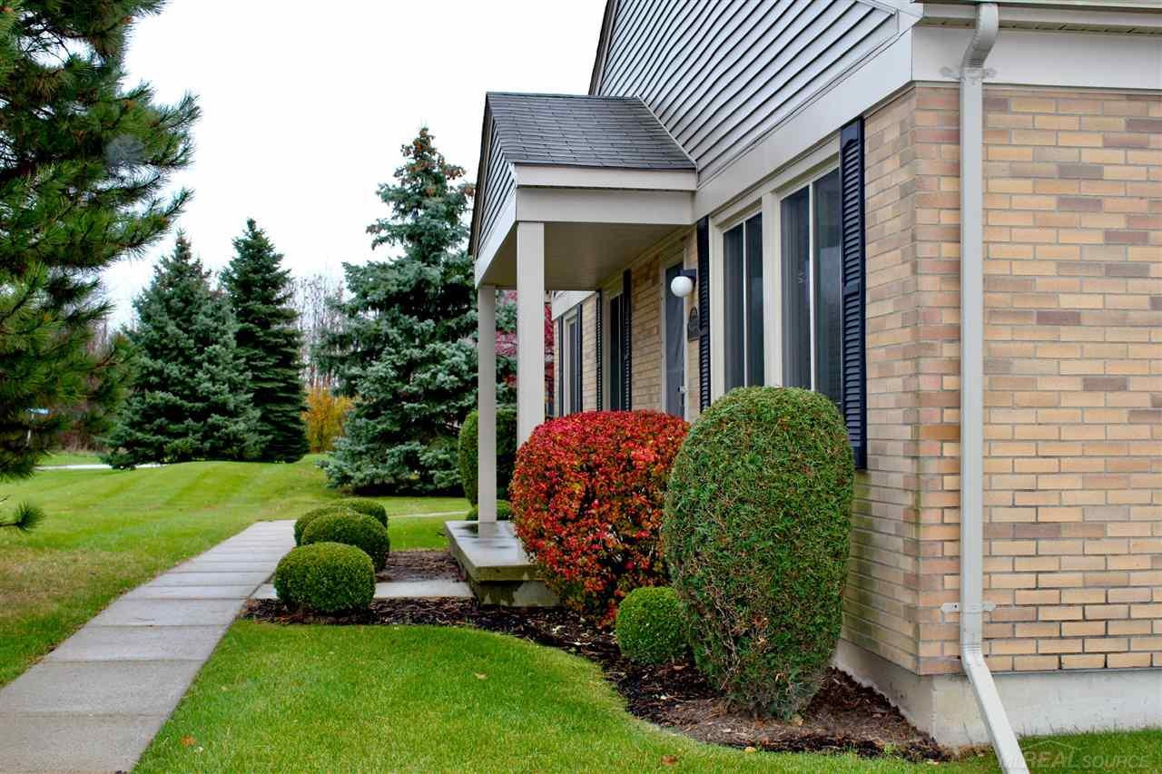 44666 Connecticut Court, Clinton Twp, MI 48038 — Photo 2