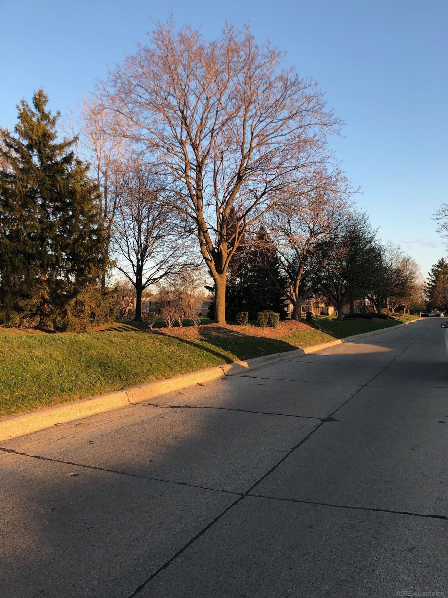 44666 Connecticut Court, Clinton Twp, MI 48038 — Photo 6