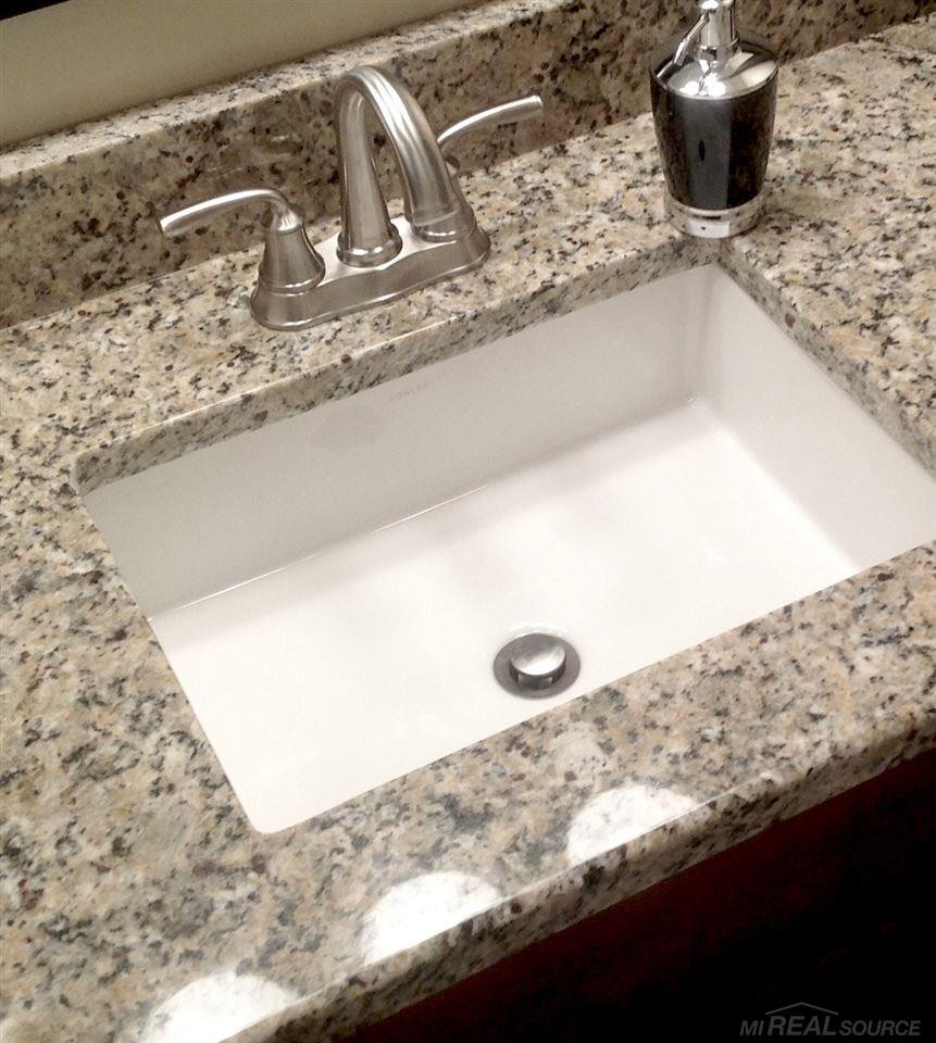 44666 Connecticut Court, Clinton Twp, MI 48038 — Photo 50