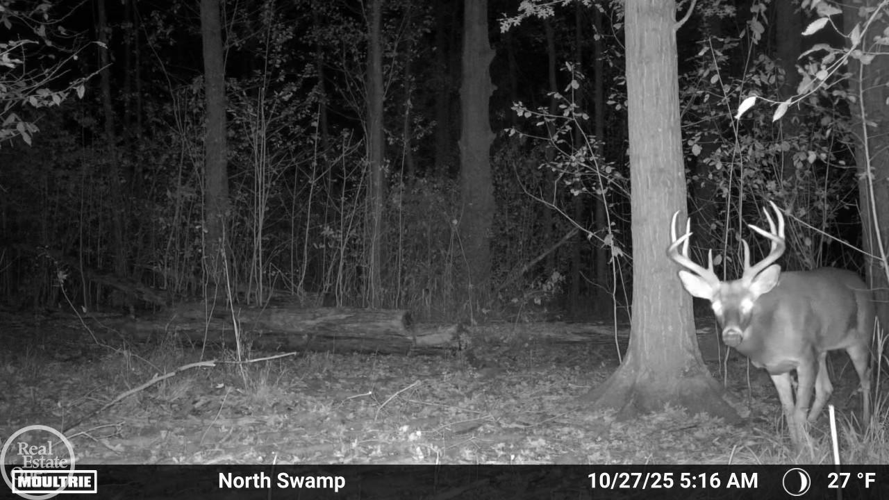 7920 Marsh Road, MI — Photo 43