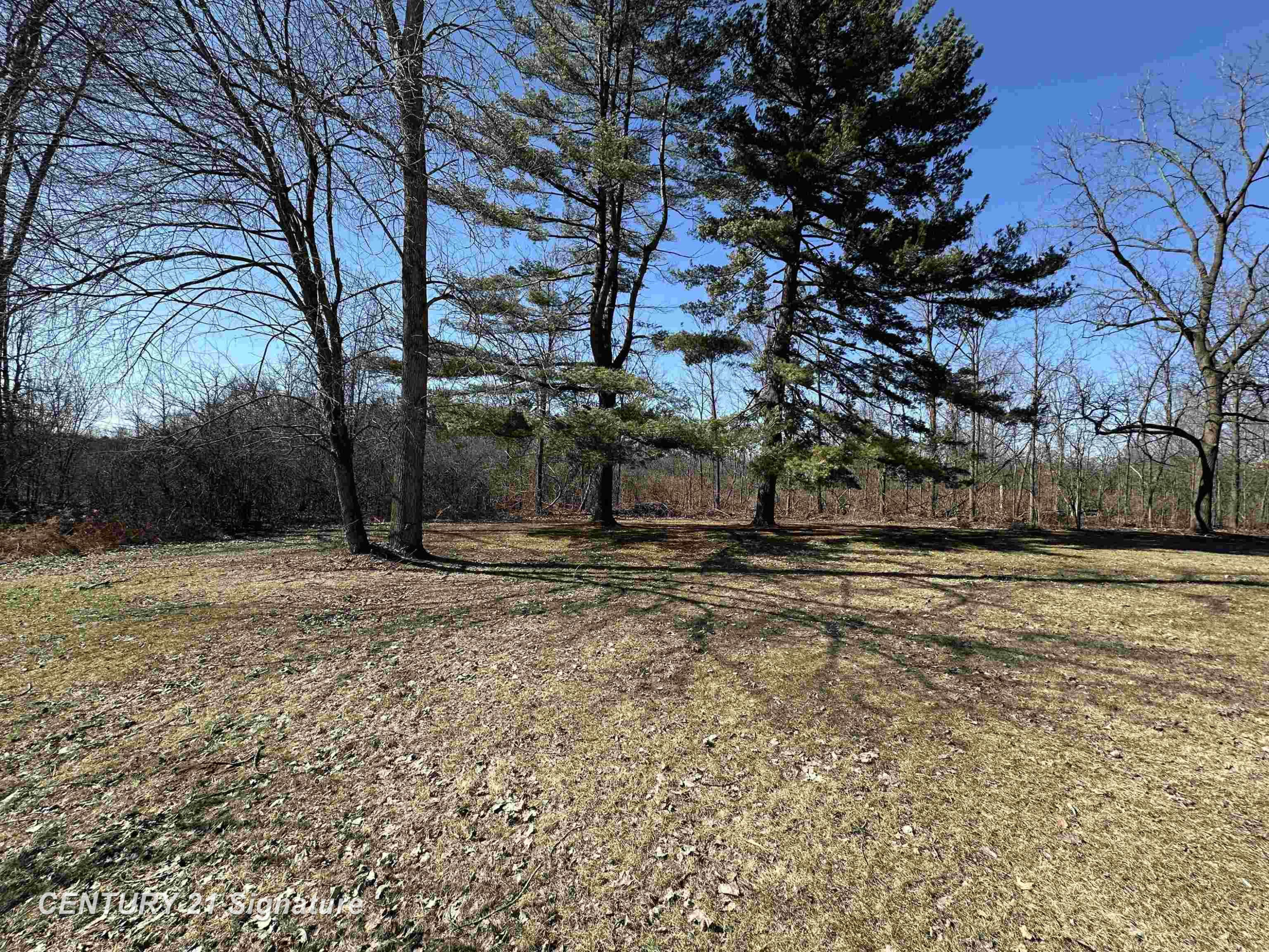 7151 N Elms Road, Flushing, MI 48433 — Photo 37