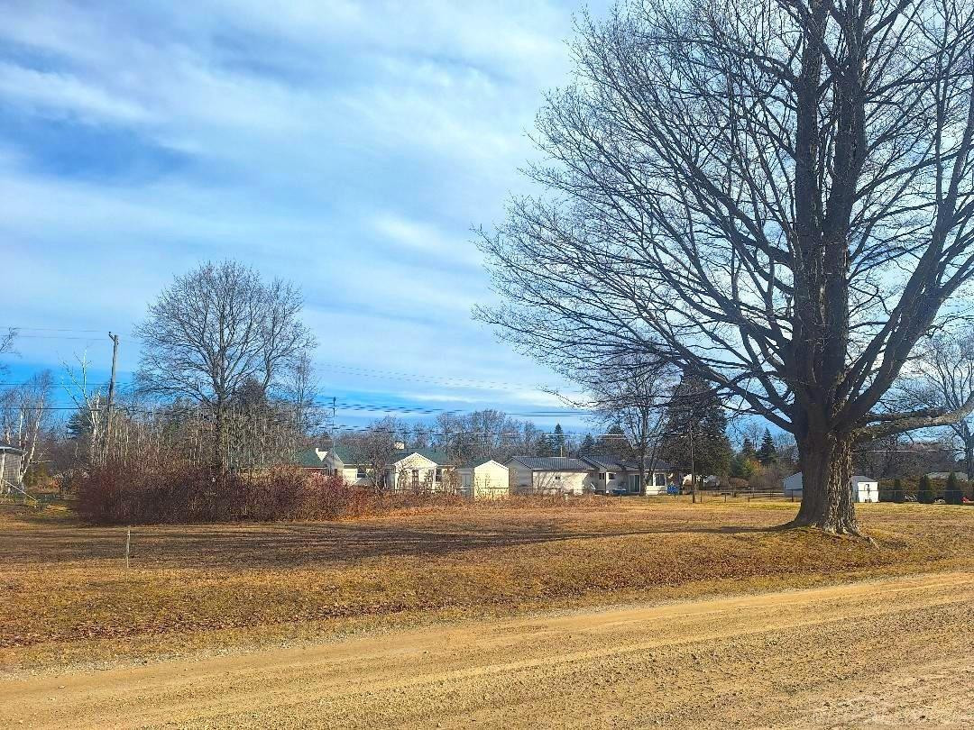 Lots 249-250 Blue Water Boulevard, Lexington, MI 48450 — front exterior