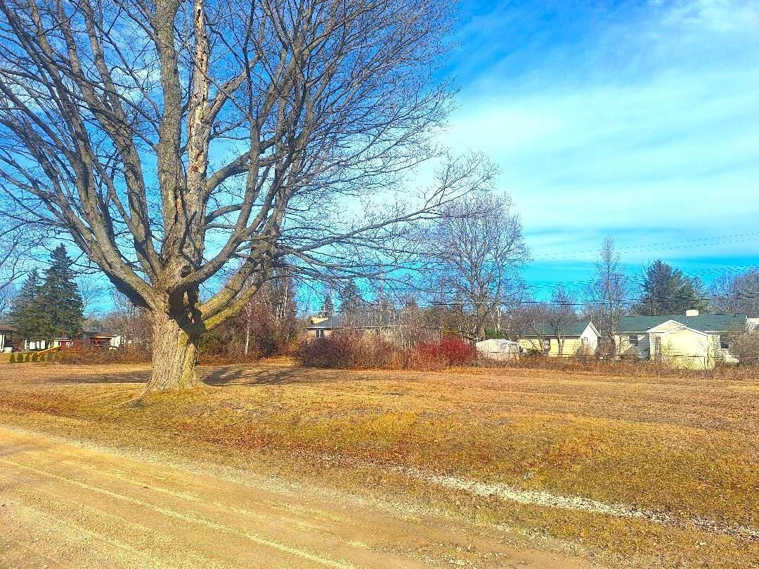 Lots 249-250 Blue Water Boulevard, Lexington, MI 48450 — Photo 7