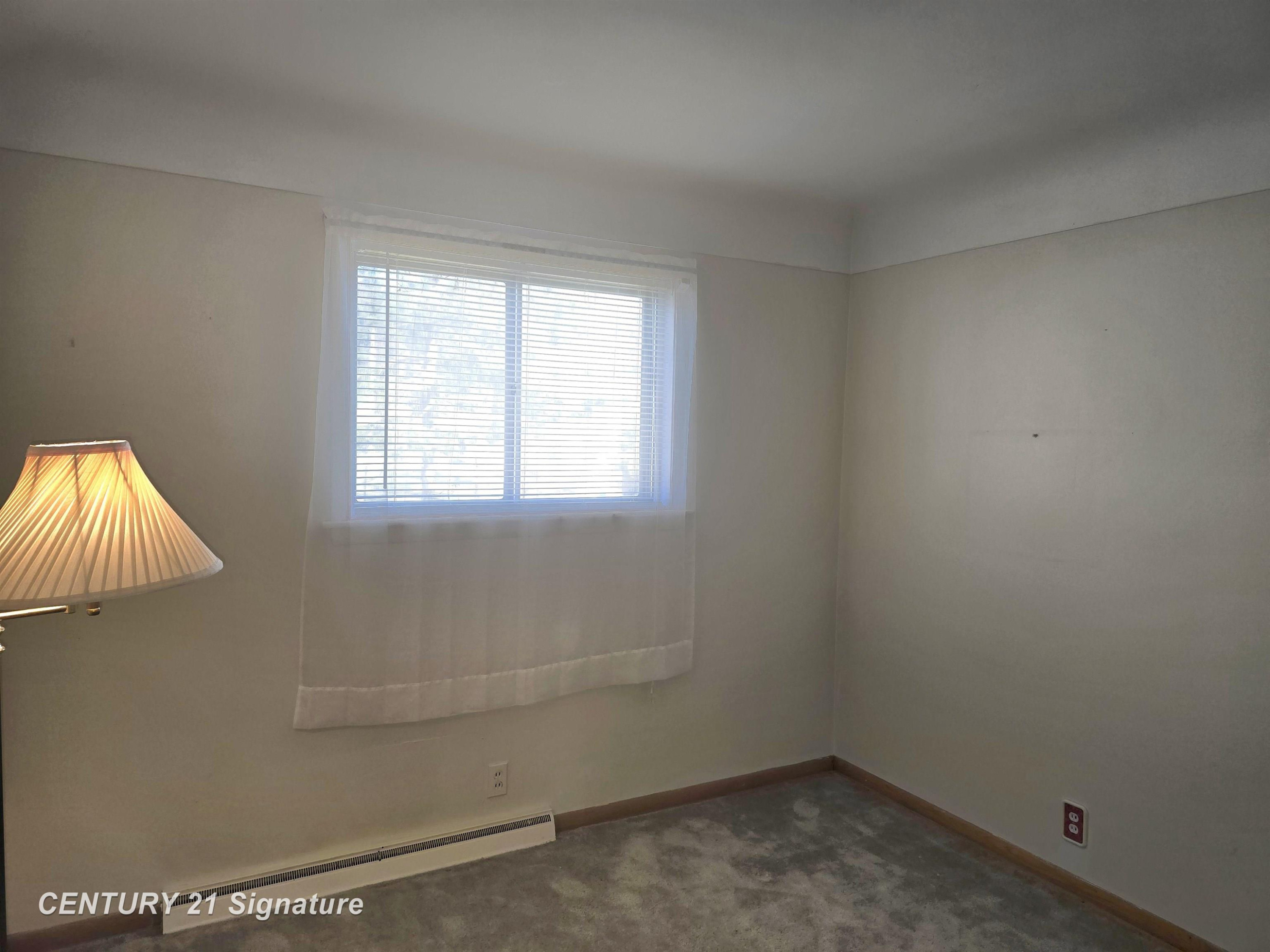 2400 Denise Drive, Clio, MI 48420 — Photo 19
