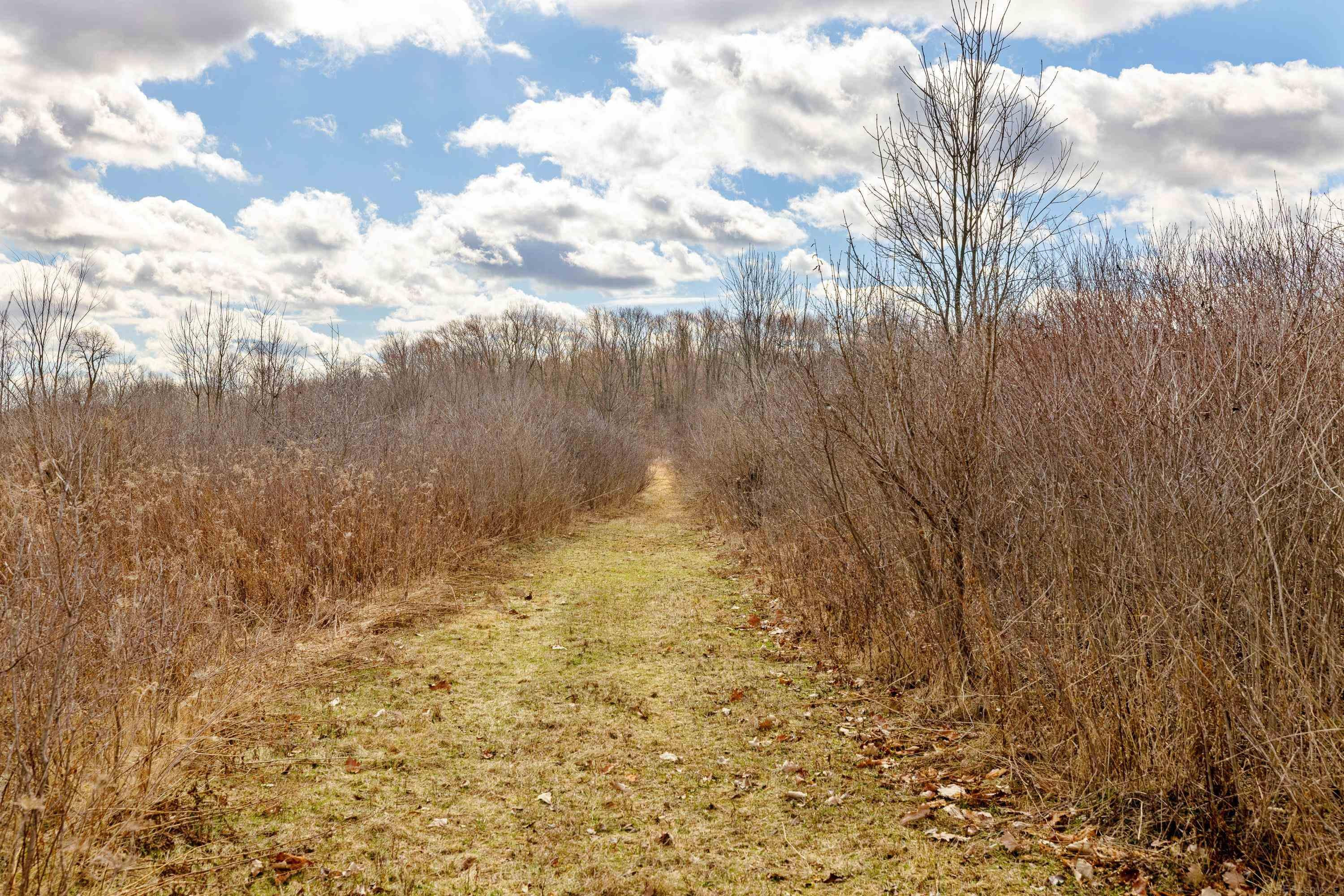 27070 32 Mile Road, MI 48050 — Photo 59