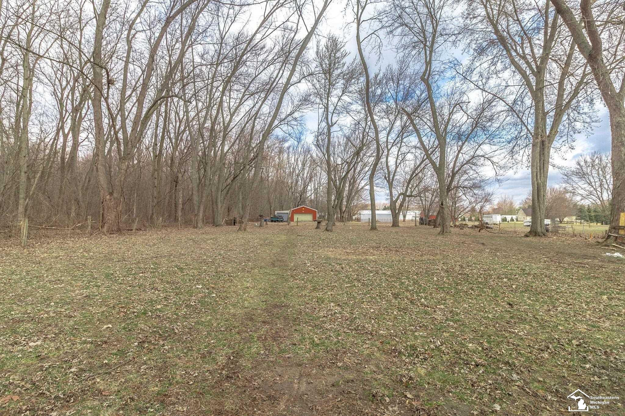 5218 Consear Road, MI 49267 — Photo 6