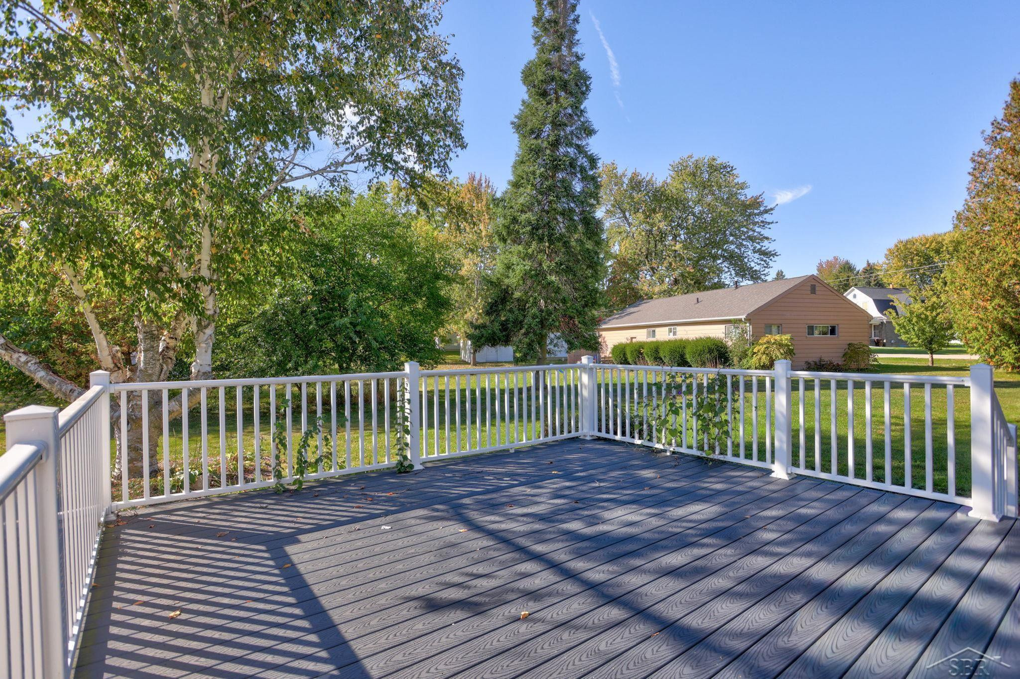 930 E North Street, Ithaca, MI 48847 — Photo 35