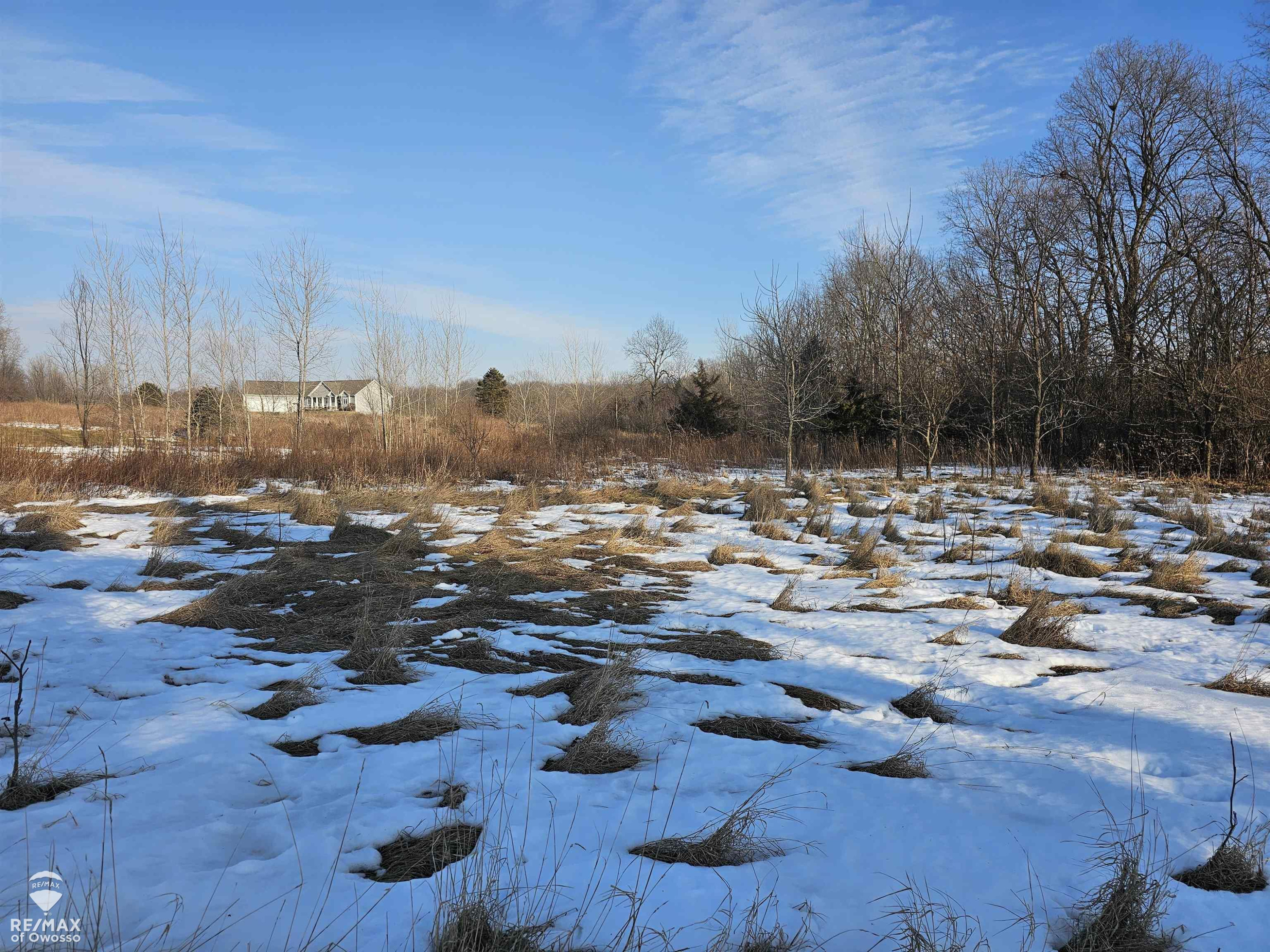 2431 S Morrice Road, Owosso, MI 48867 — Photo 30