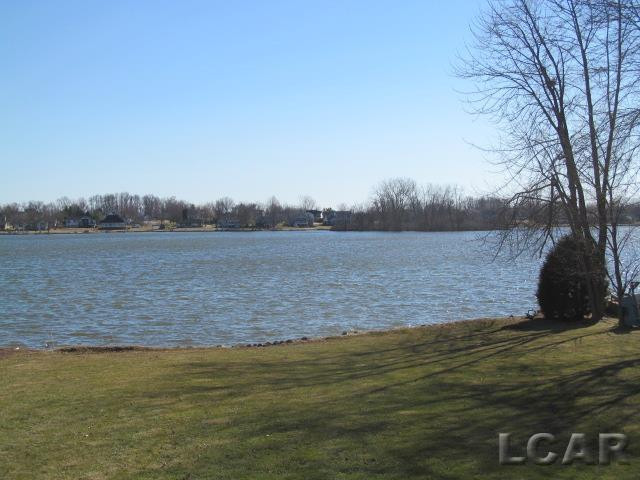 7901 Kingsley Drive, Onsted, MI 49265 — Photo 46