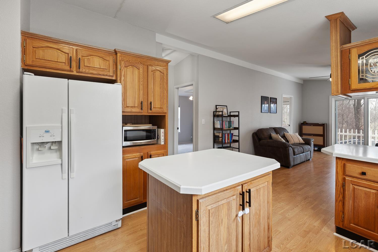 3765 Spielman Road, Adrian, MI 49221 — Photo 9