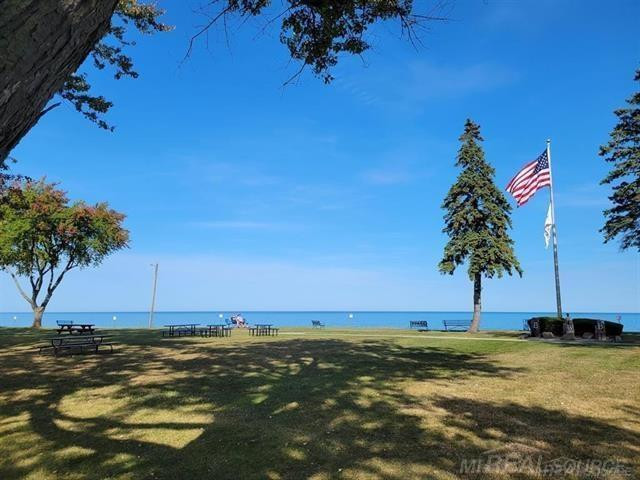 7378 Birch Tree Road, Lexington, MI 48450 — Photo 47