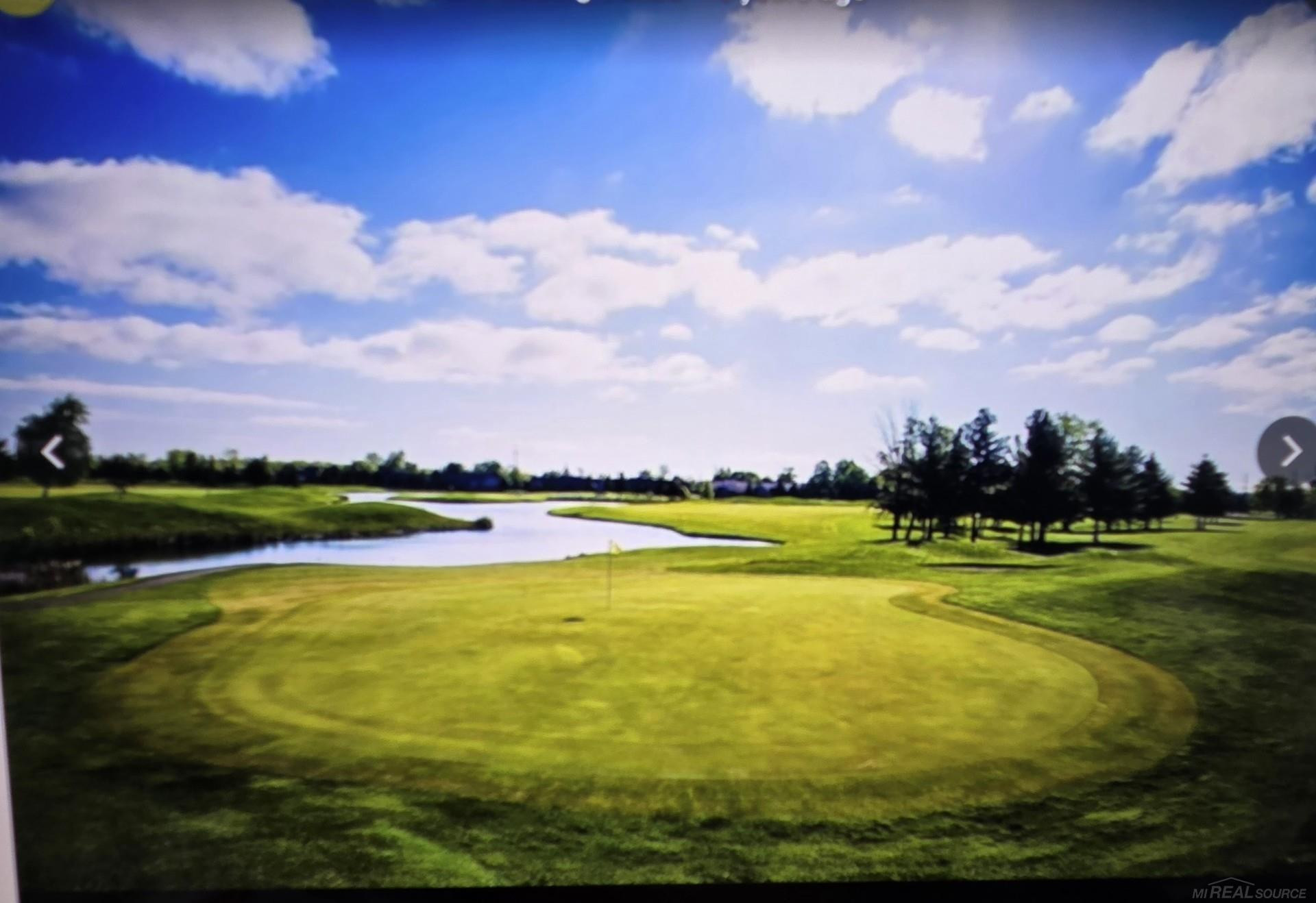 7378 Birch Tree Road, Lexington, MI 48450 — Photo 55