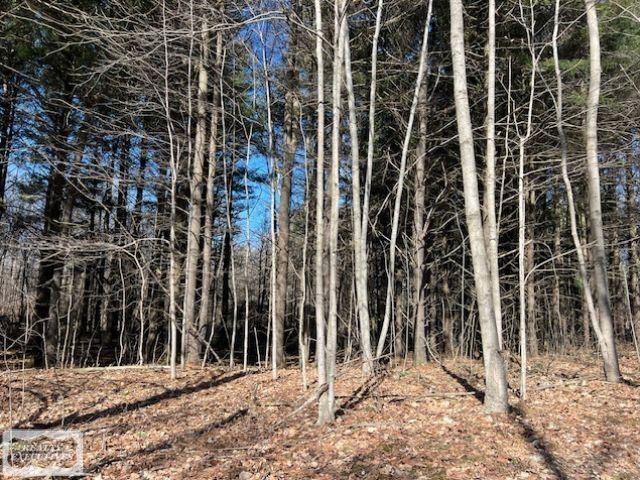 0 Burton Road, MI 48014 — Photo 2