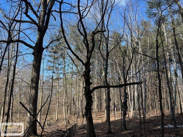 0 Burton Road, MI 48014 — Photo 3
