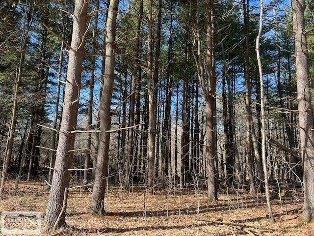0 Burton Road, MI 48014 — Photo 7