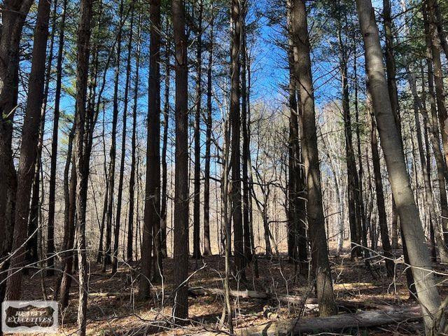 0 Burton Road, MI 48014 — Photo 8