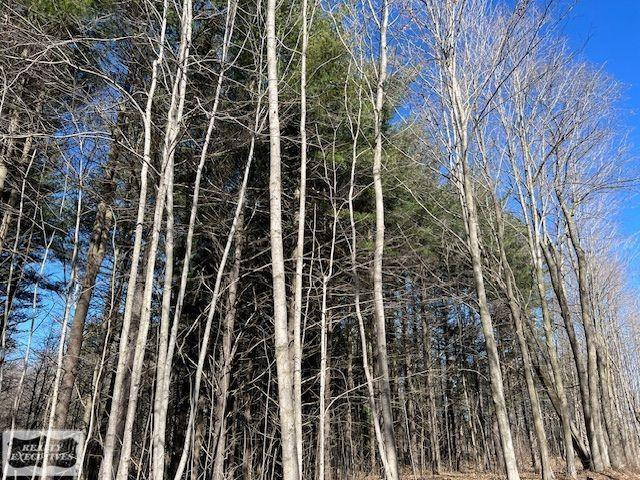 0 Burton Road, MI 48014 — Photo 9