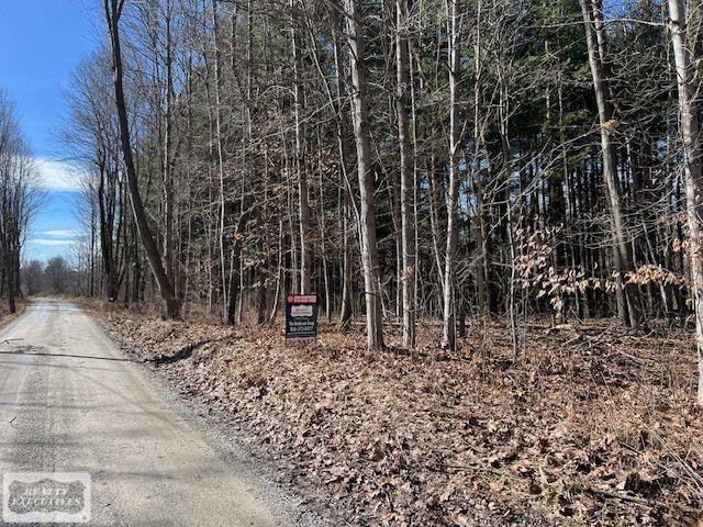 0 Burton Road, MI 48014 — Photo 10