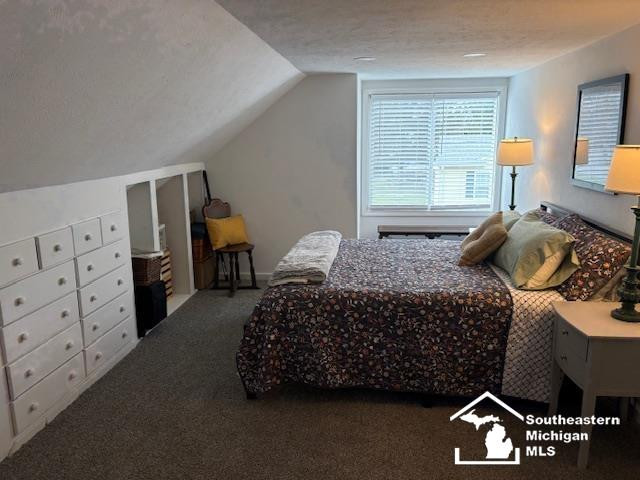 6748 Green Road, MI 49267 — Photo 15