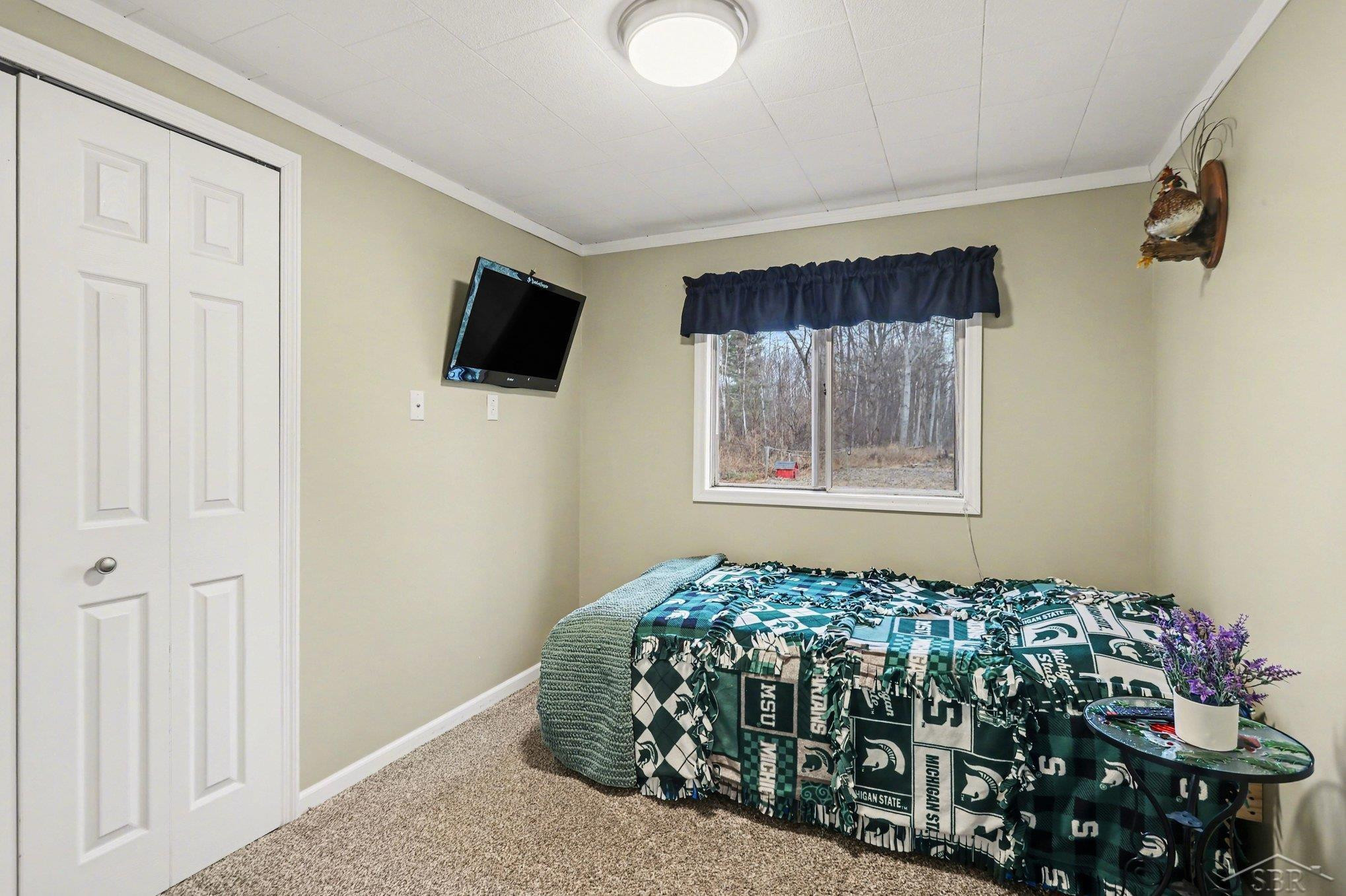 67 E Huron Road, Omer, MI 48749 — Photo 15