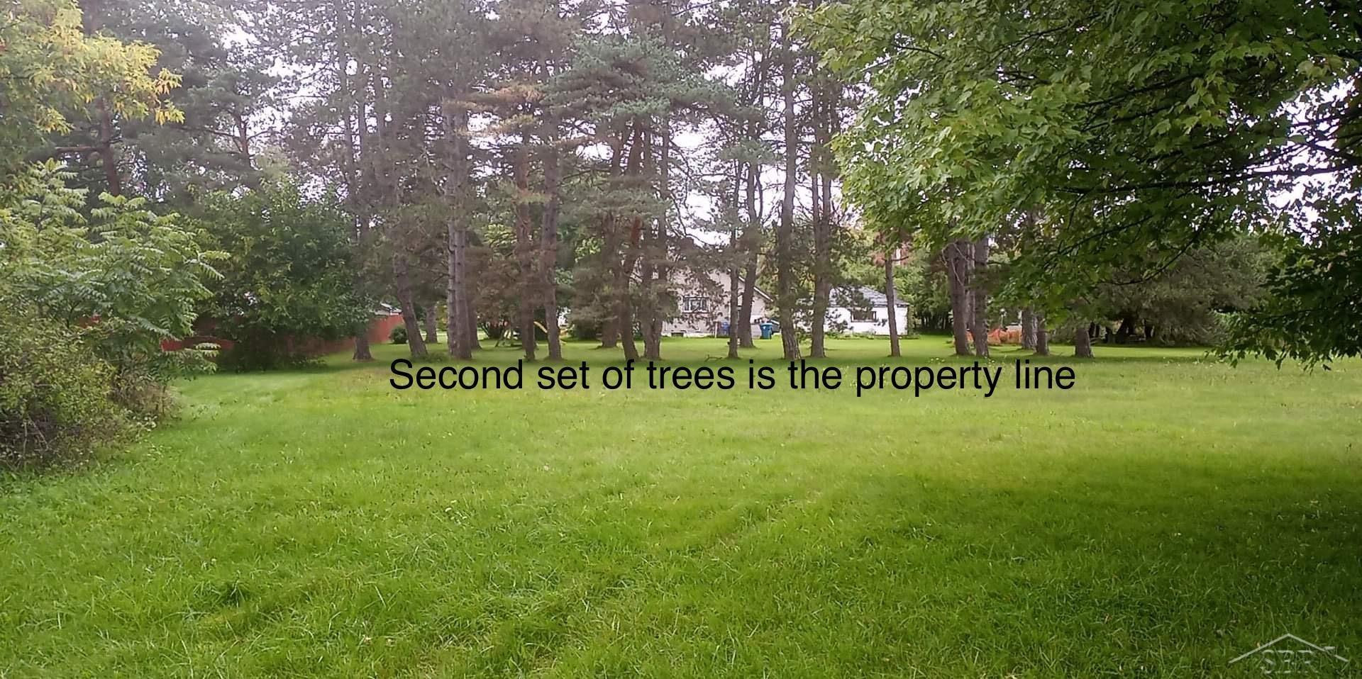 0 Simons Street, Coleman, MI 48618