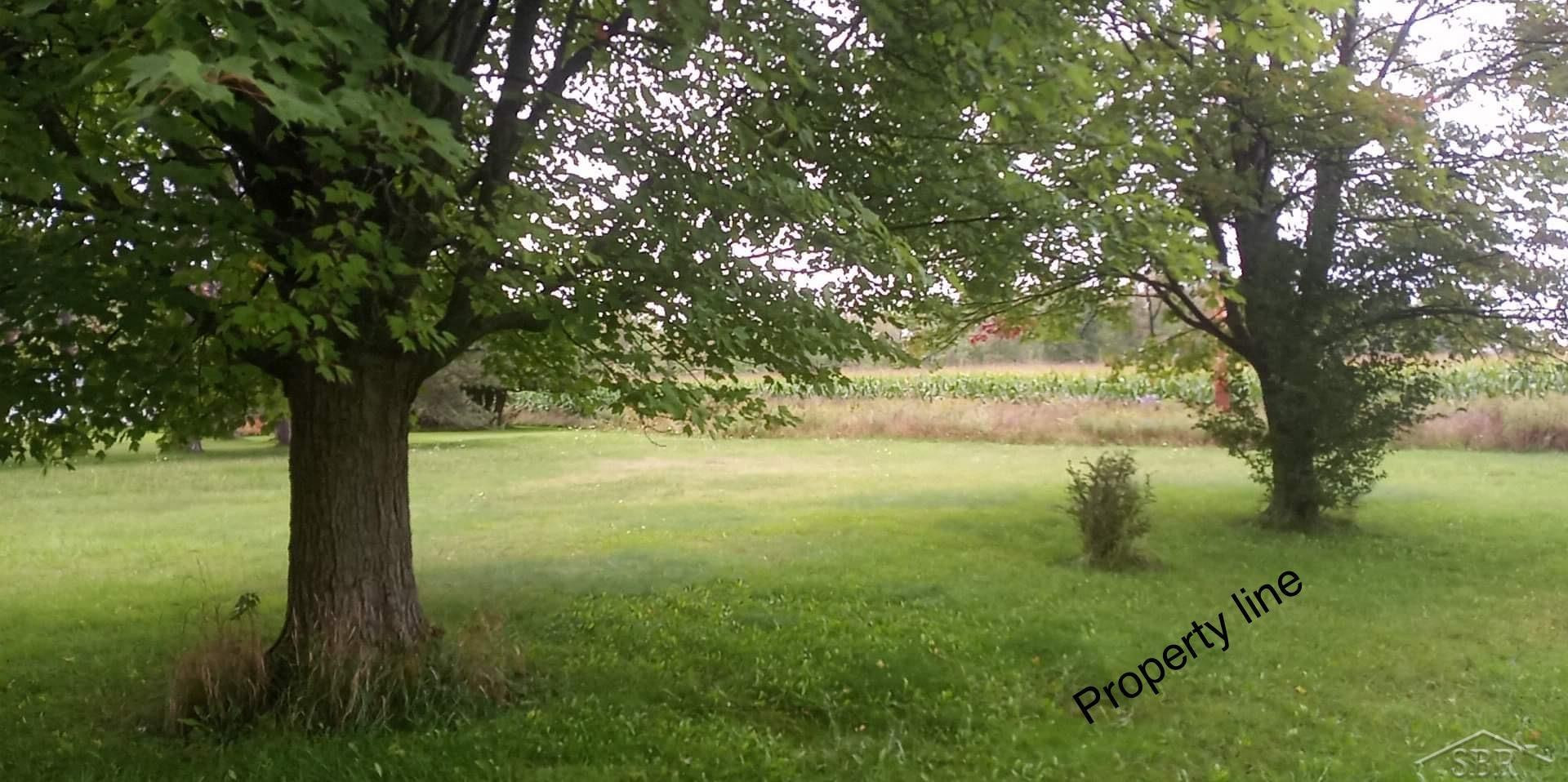 0 Simons Street, Coleman, MI 48618 — Photo 2
