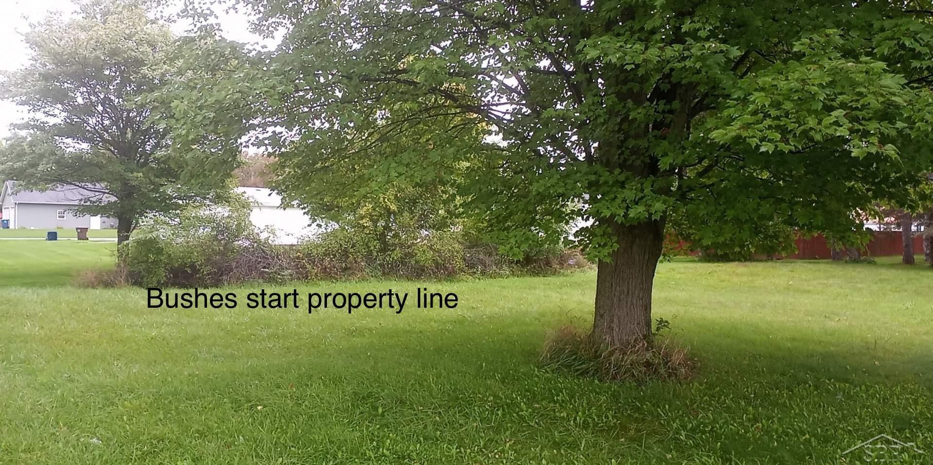 0 Simons Street, Coleman, MI 48618 — Photo 3