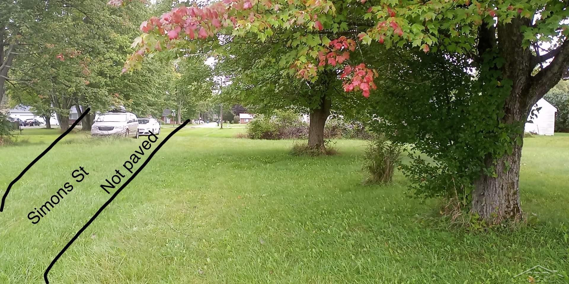 0 Simons Street, Coleman, MI 48618 — Photo 4