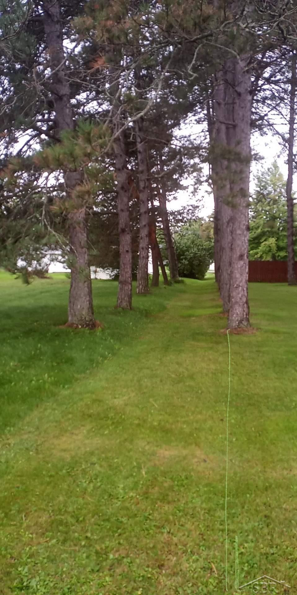0 Simons Street, Coleman, MI 48618 — Photo 6