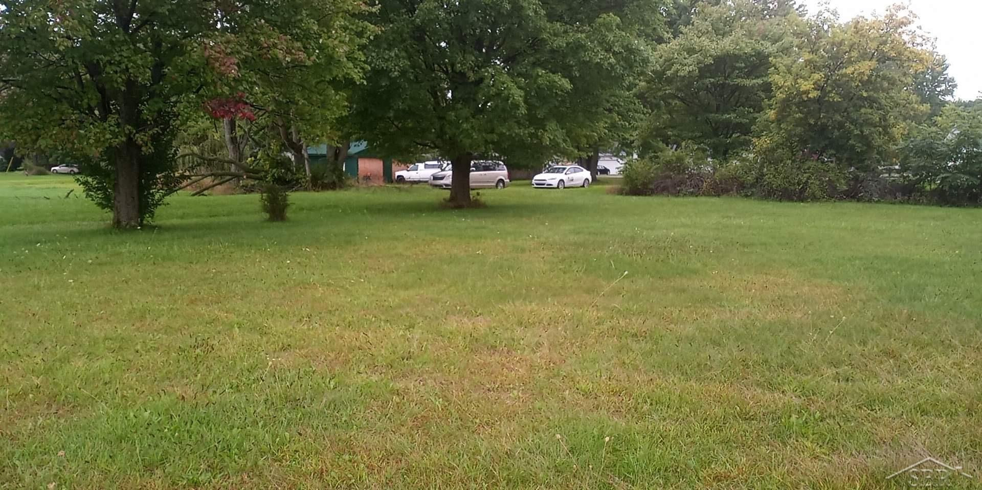 0 Simons Street, Coleman, MI 48618 — Photo 7