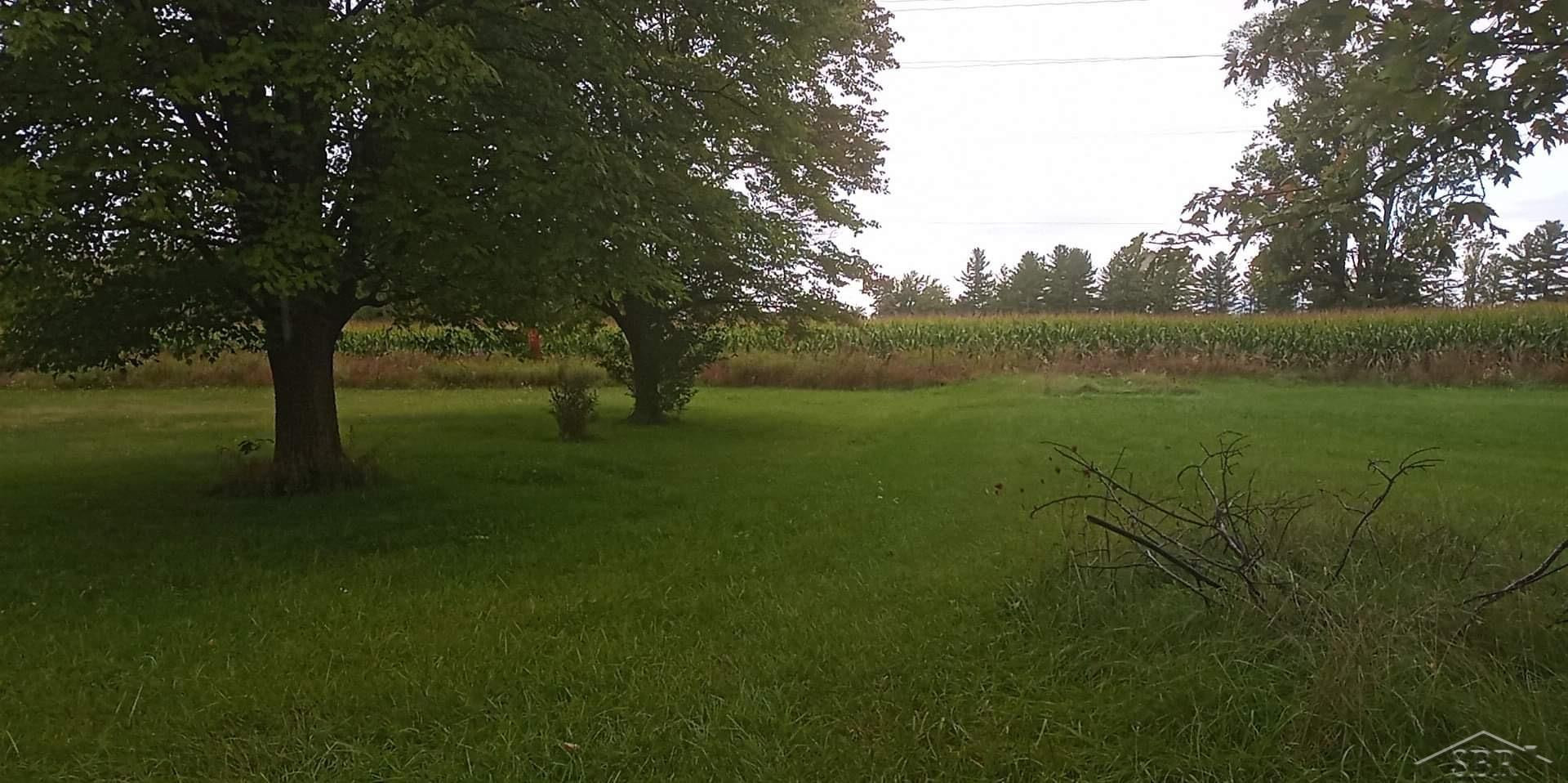 0 Simons Street, Coleman, MI 48618 — Photo 9