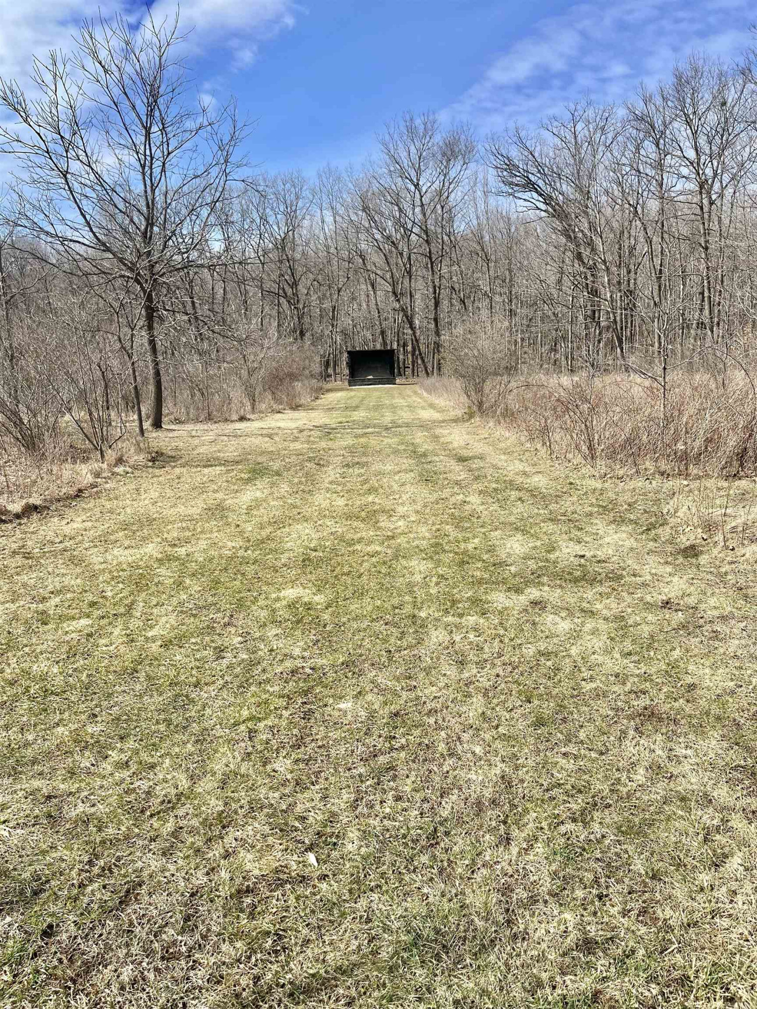 8502 S Vernon Road, Durand, MI 48429 — Photo 28
