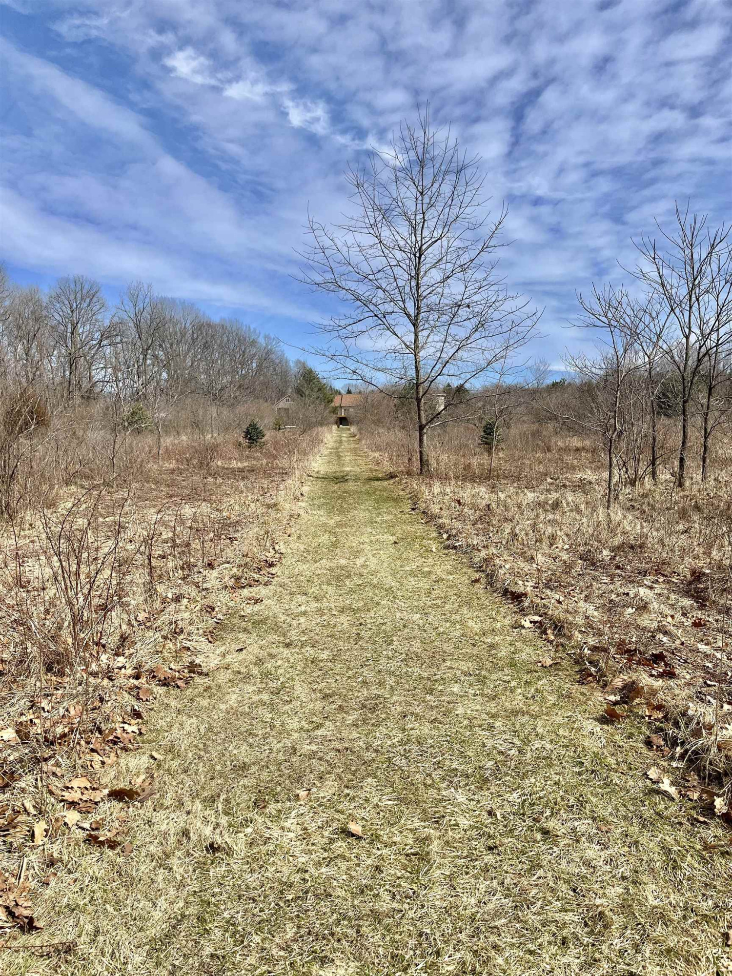 8502 S Vernon Road, Durand, MI 48429 — Photo 29