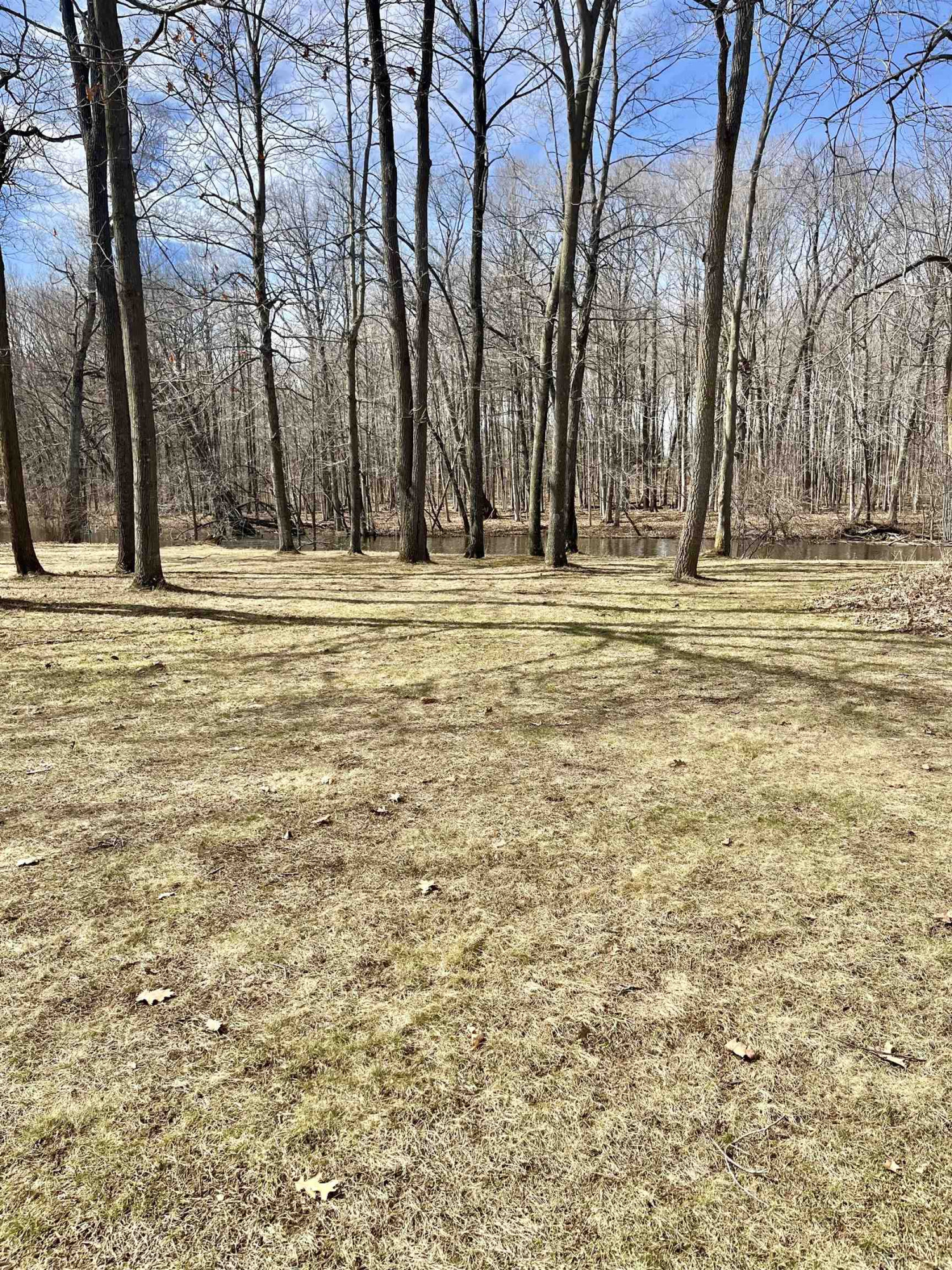 8502 S Vernon Road, Durand, MI 48429 — Photo 30
