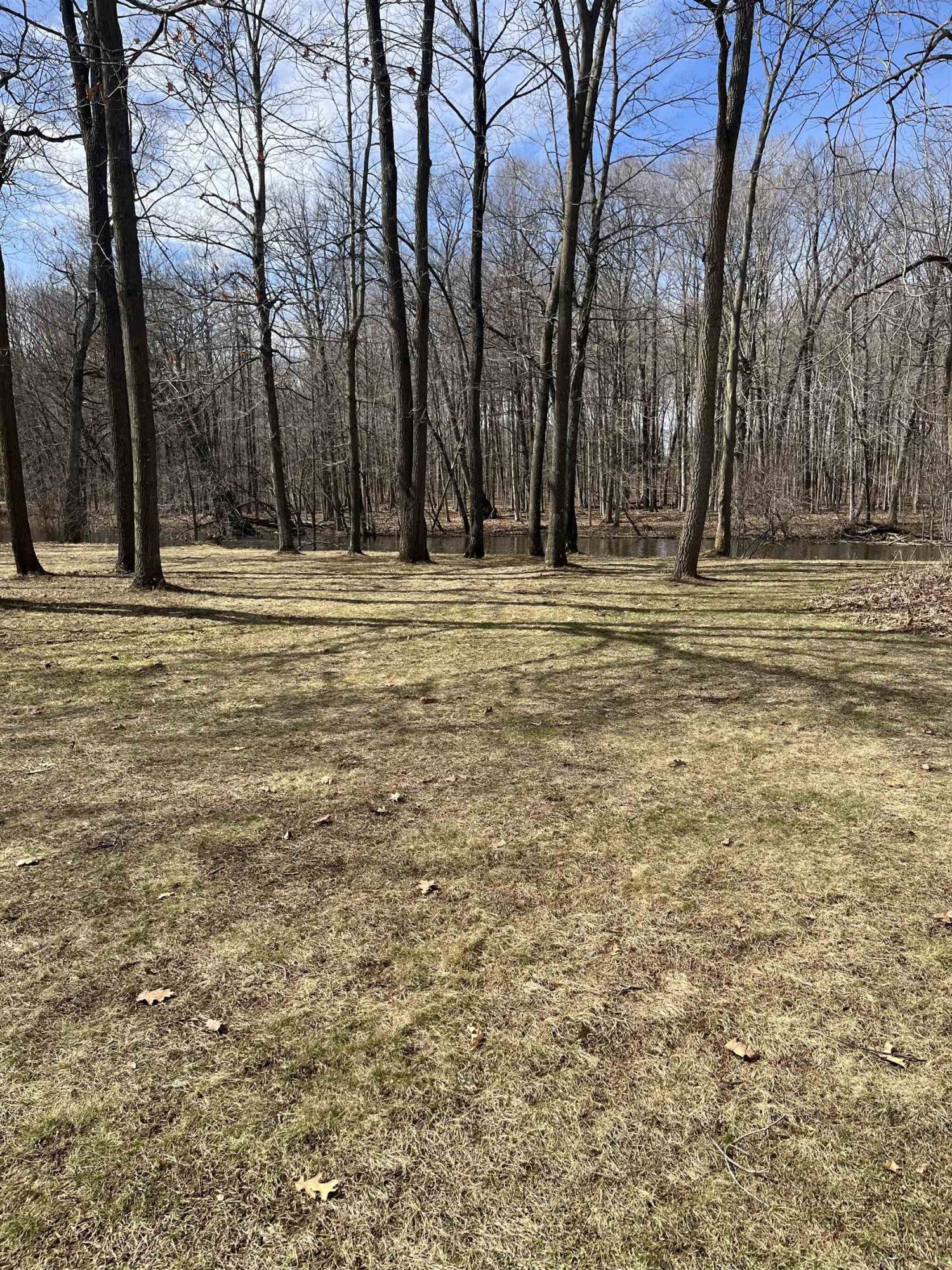 8502 S Vernon Road, Durand, MI 48429 — Photo 31