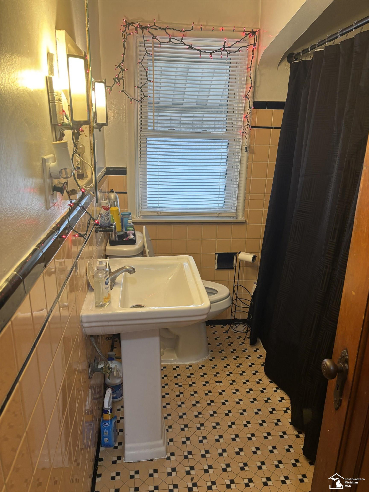 2933 Fort Park Avenue, Lincoln Park, MI 48146 — Photo 10