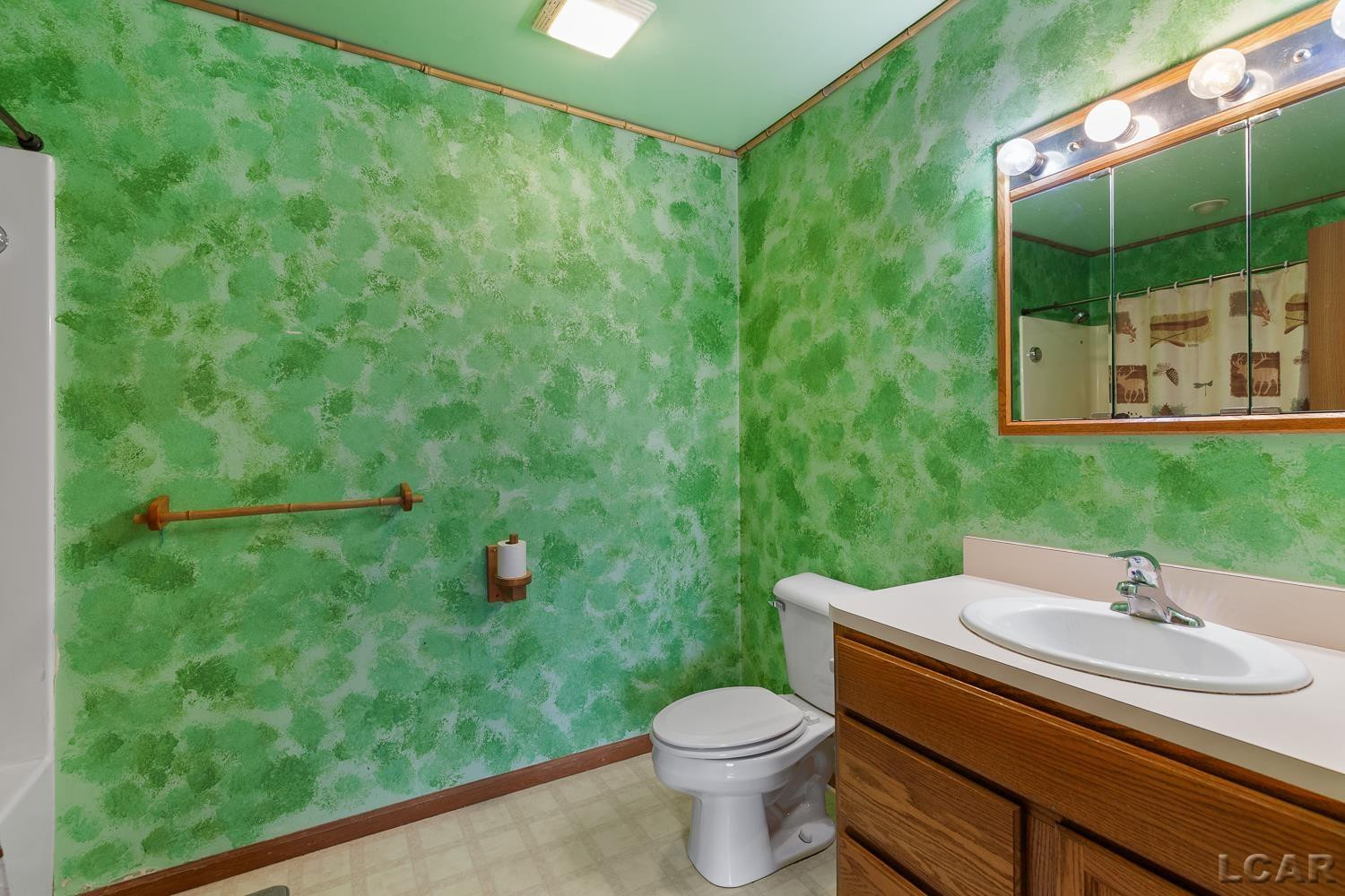 260 S Main Street, Britton, MI 49229 — Photo 14