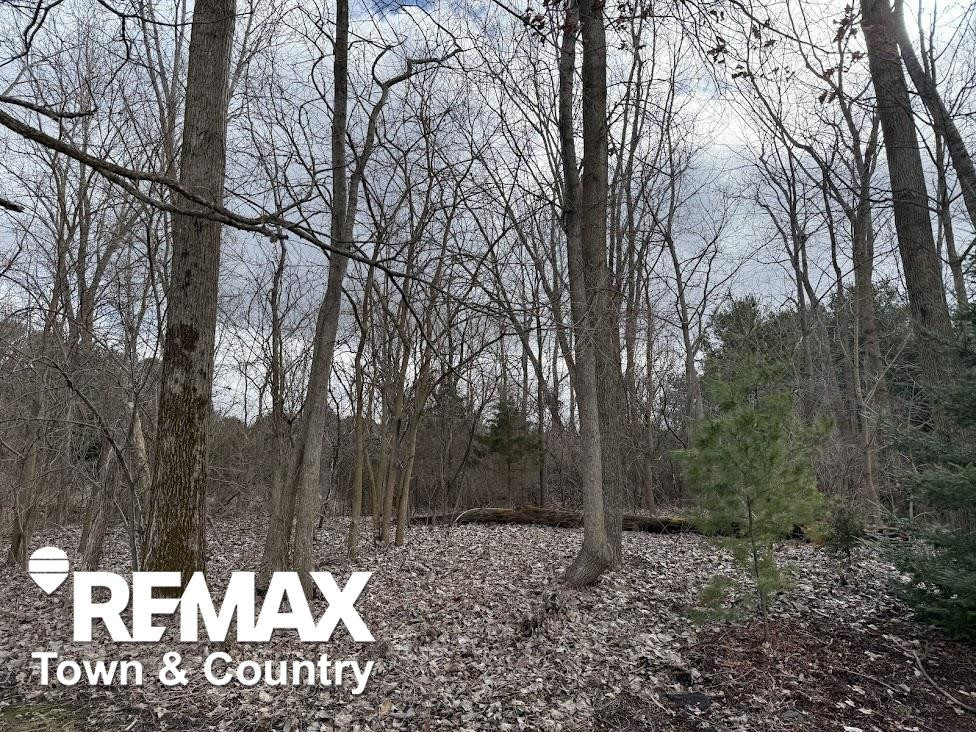 3179 Rotterdam Drive, Clio, MI 48420 — Photo 43