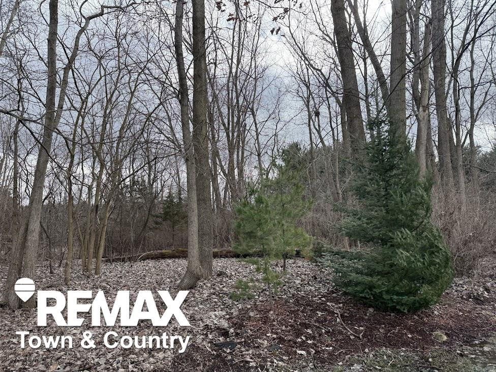 3179 Rotterdam Drive, Clio, MI 48420 — Photo 45