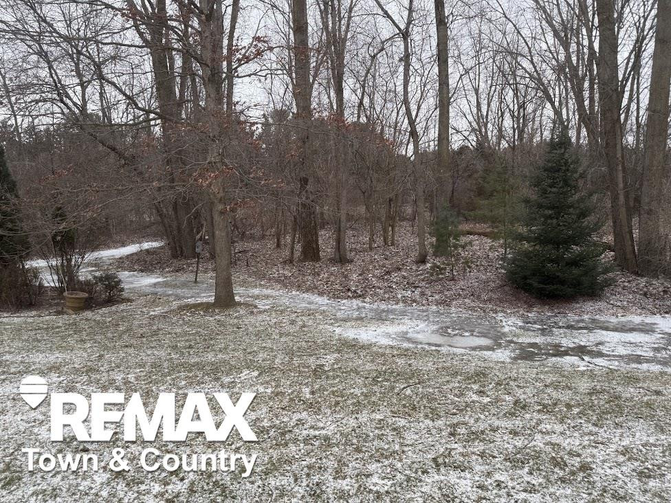 3179 Rotterdam Drive, Clio, MI 48420 — Photo 47