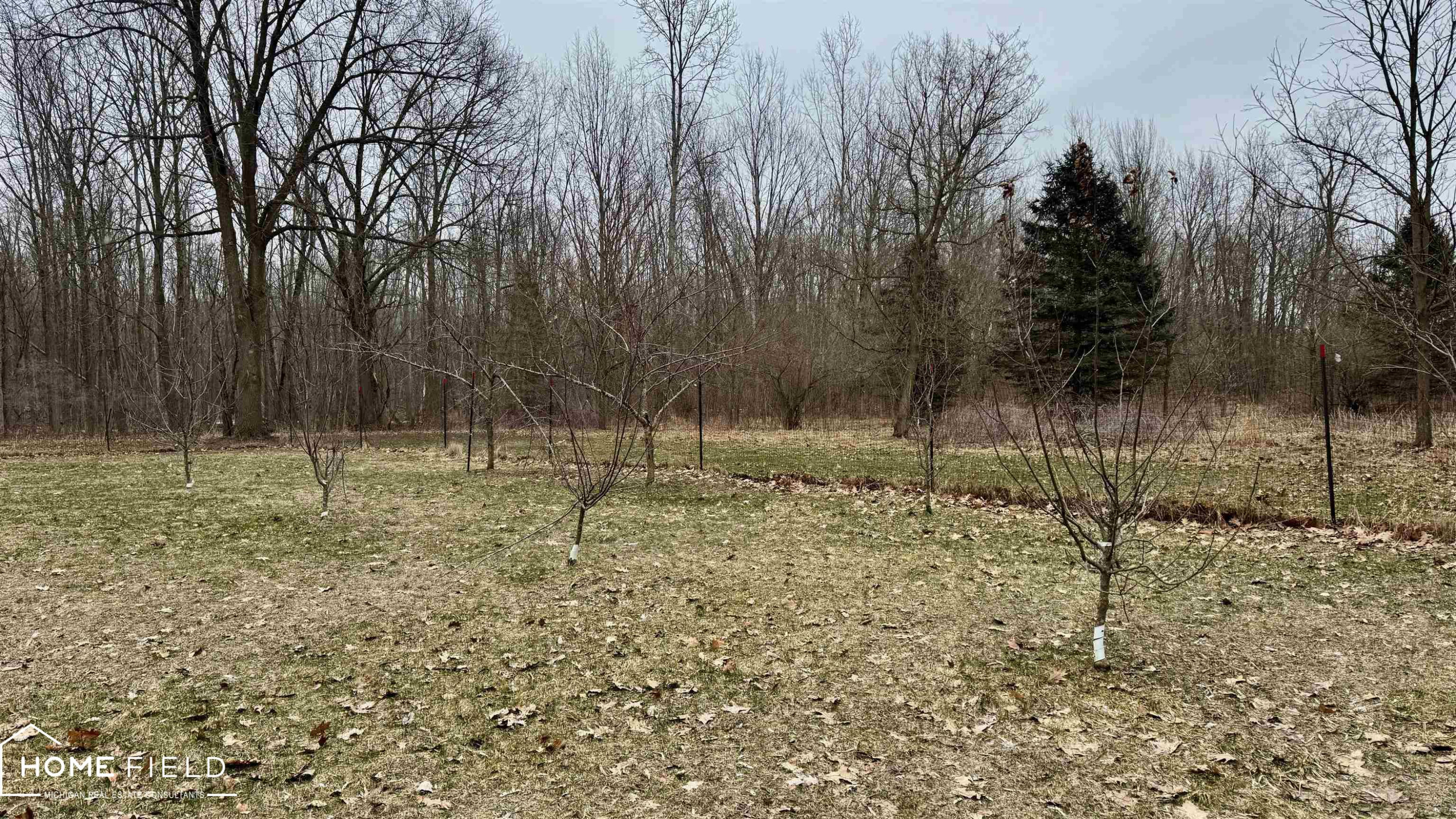 3300 E Lansing Road, Bancroft, MI 48414 — Photo 24