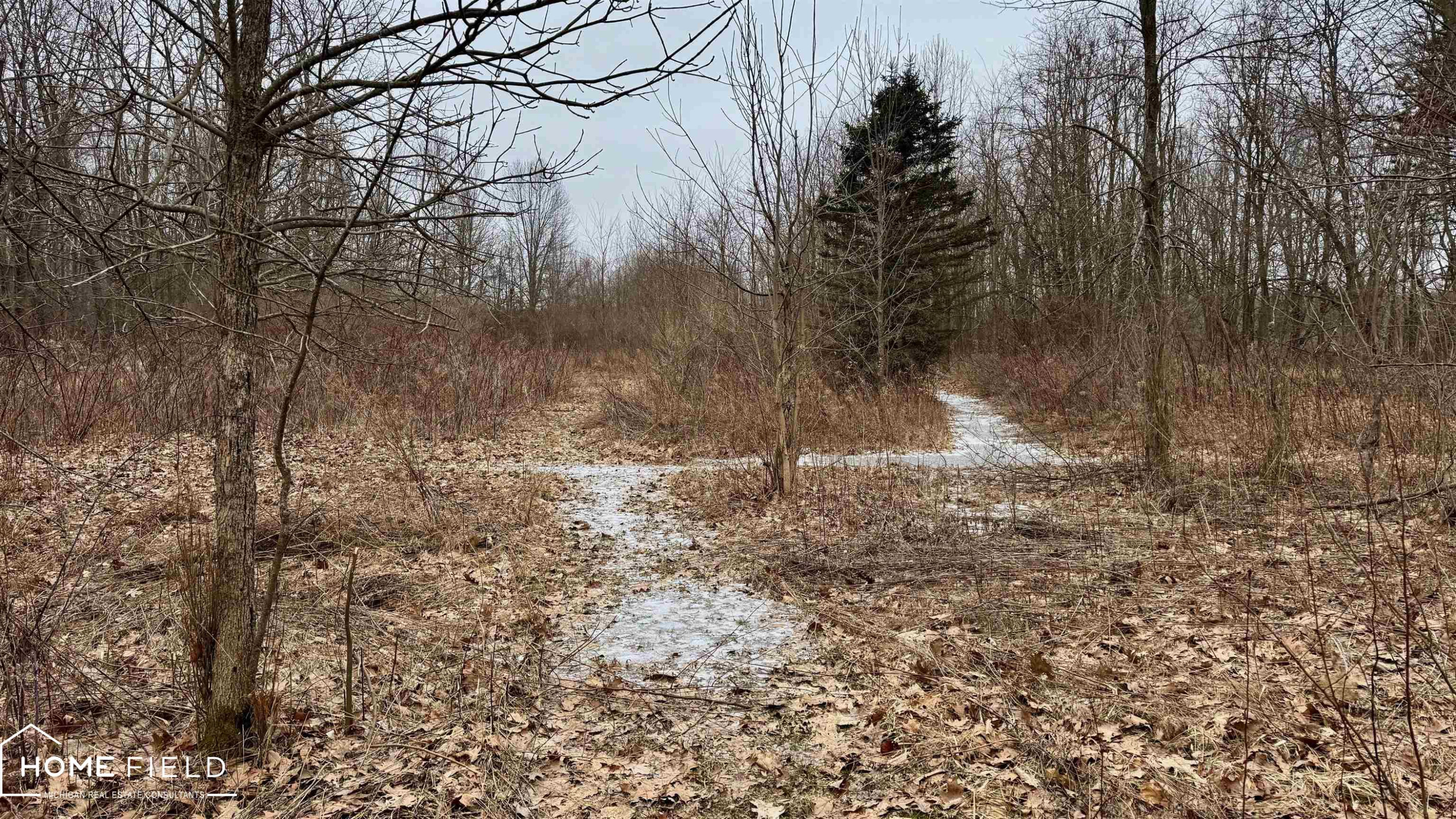 3300 E Lansing Road, Bancroft, MI 48414 — Photo 26