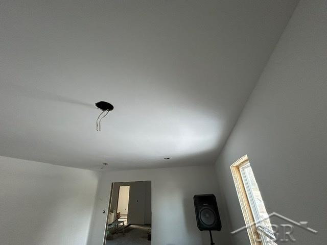 6306 Pine Street, Cass City, MI 48726 — Photo 10