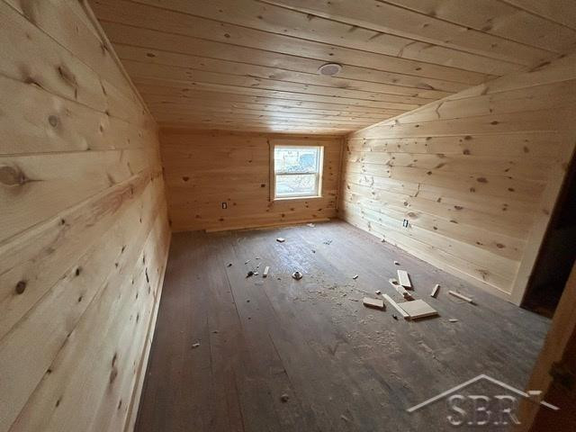 6306 Pine Street, Cass City, MI 48726 — Photo 19