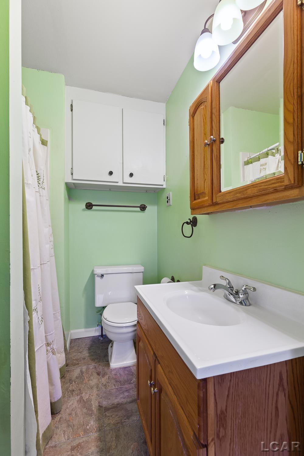 906 Willow Street, Tecumseh, MI 49286 — Photo 24