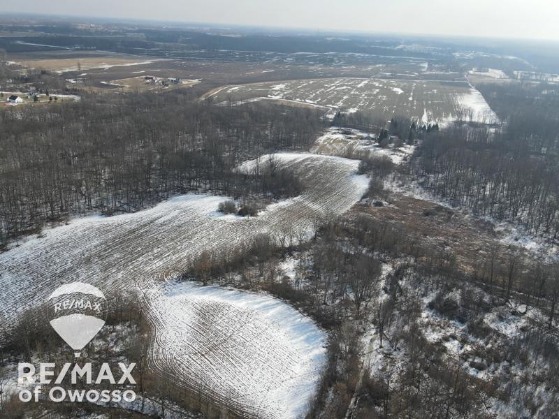 Lovejoy Road, Perry, MI 48872 — Photo 2