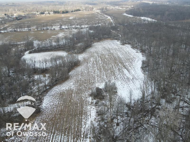 Lovejoy Road, Perry, MI 48872 — Photo 4